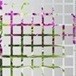 Стекло SQUARES